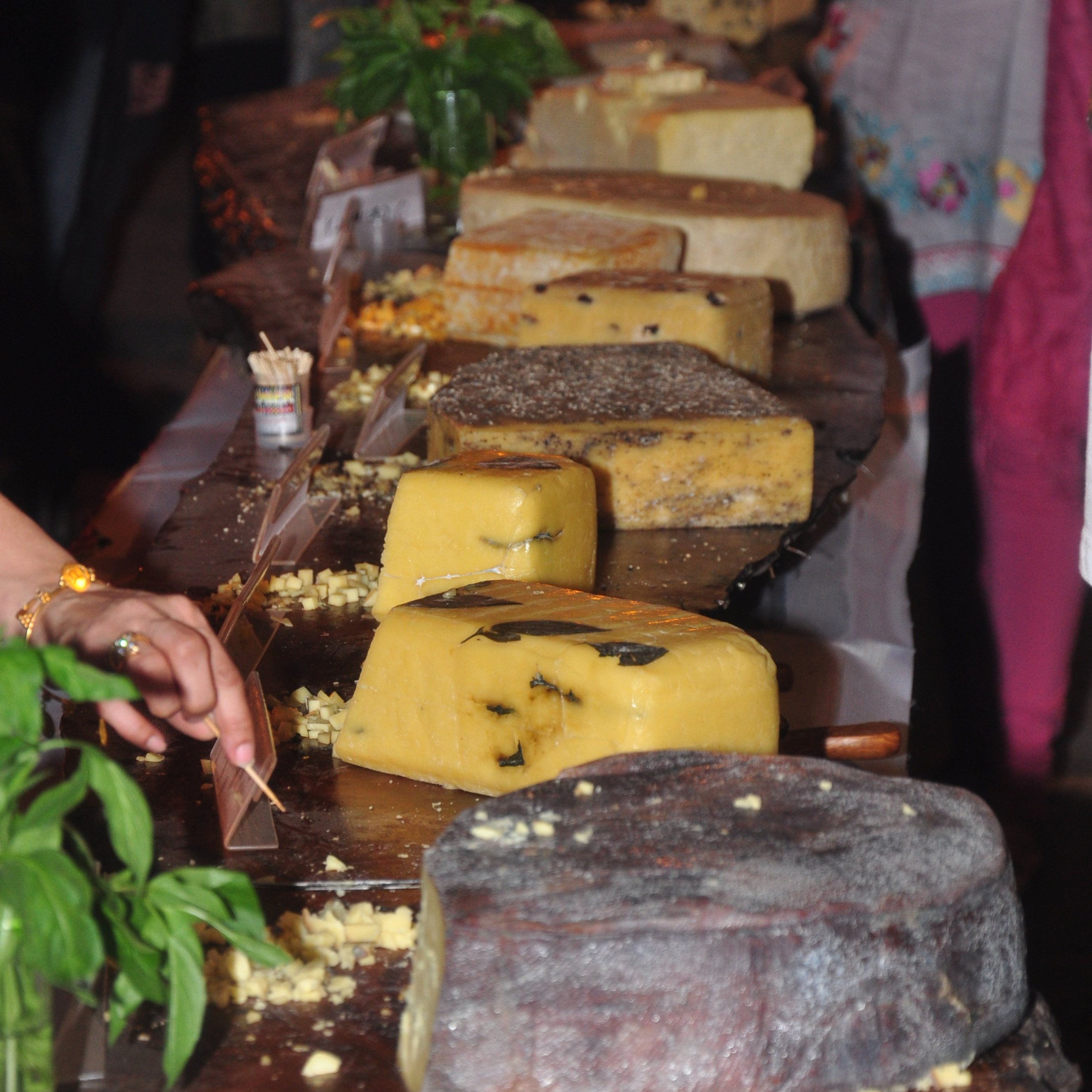 cheese fest (2)